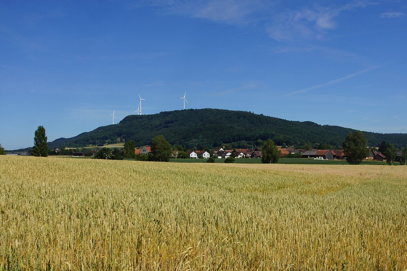 Chroobach Windenergie