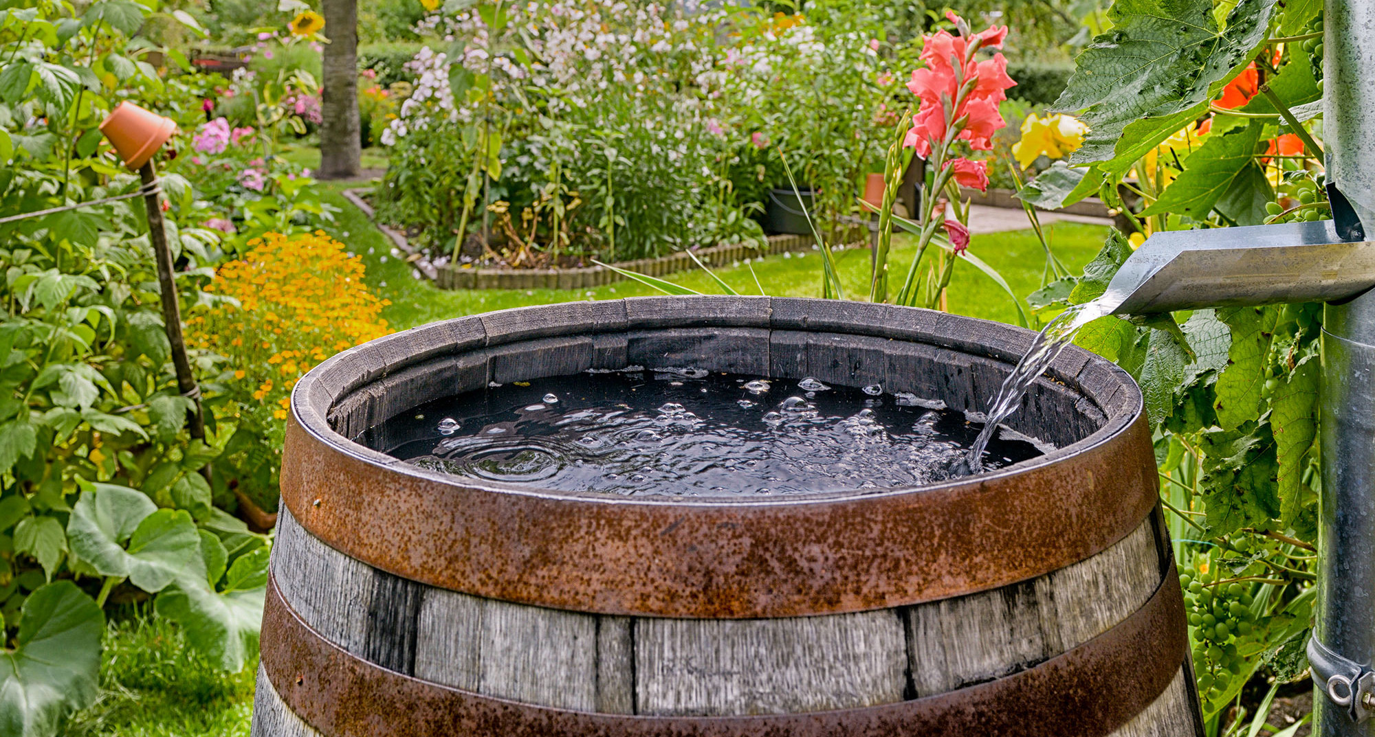 Abwasser: Klima und Umwelt