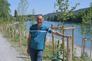 Renaturierungen Rhein Peter Hunziker