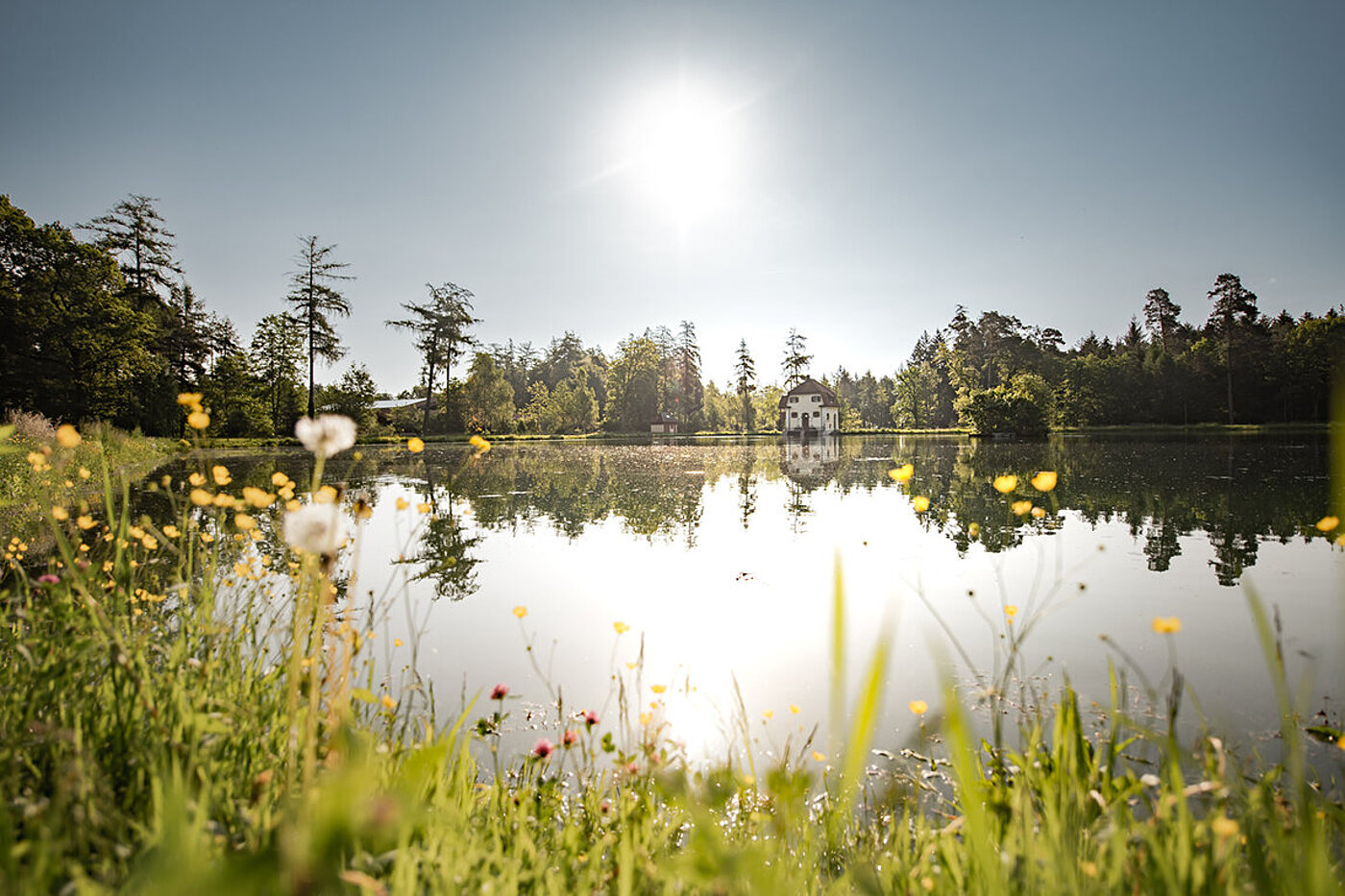 Engeweiher Schaffhausen