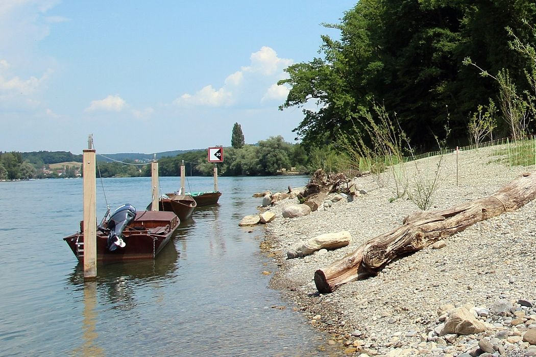 Paradies Ost GF Areal Schlatt