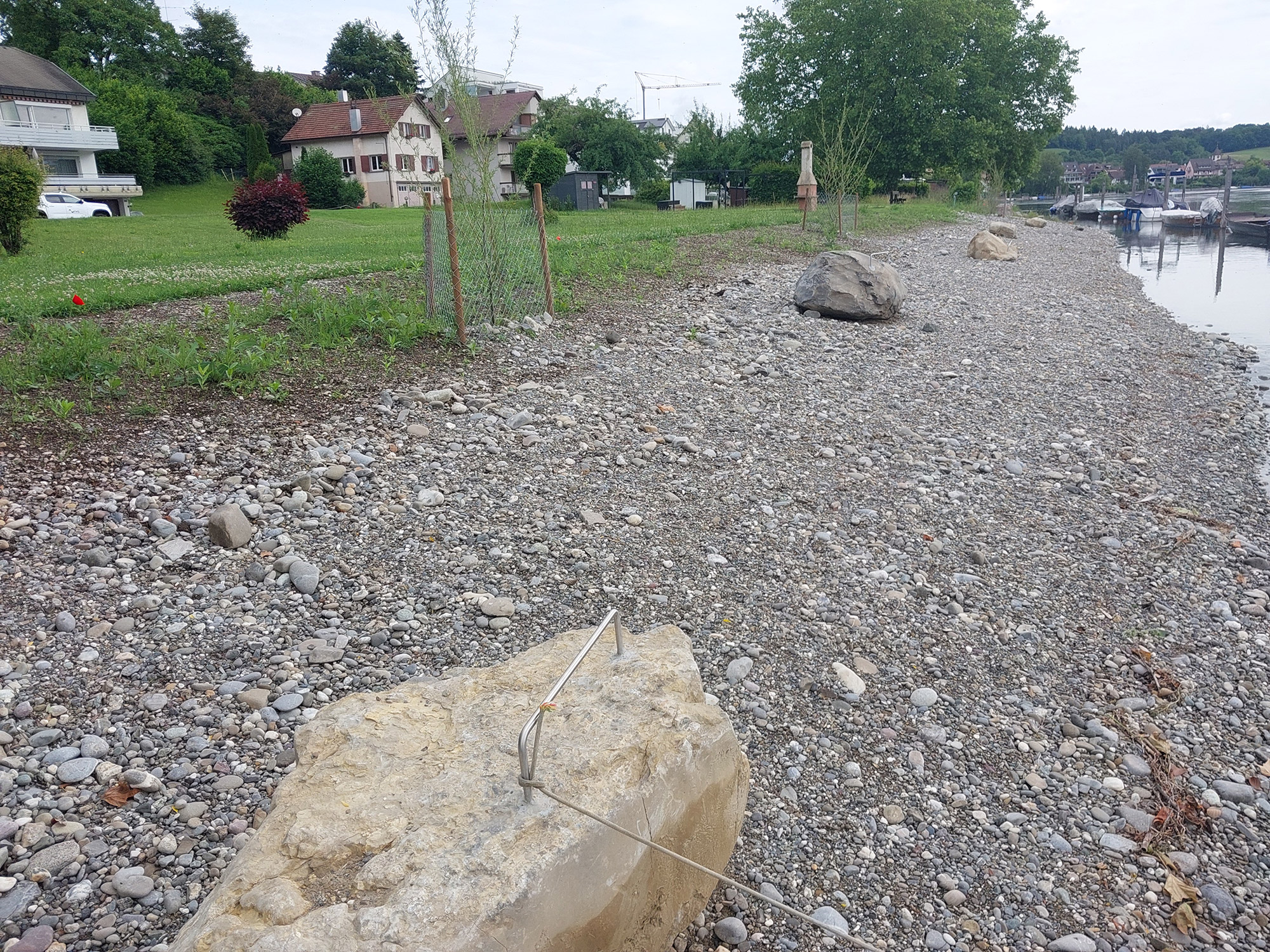 Renaturierung Rheinufer Büsingen West 5. Etappe