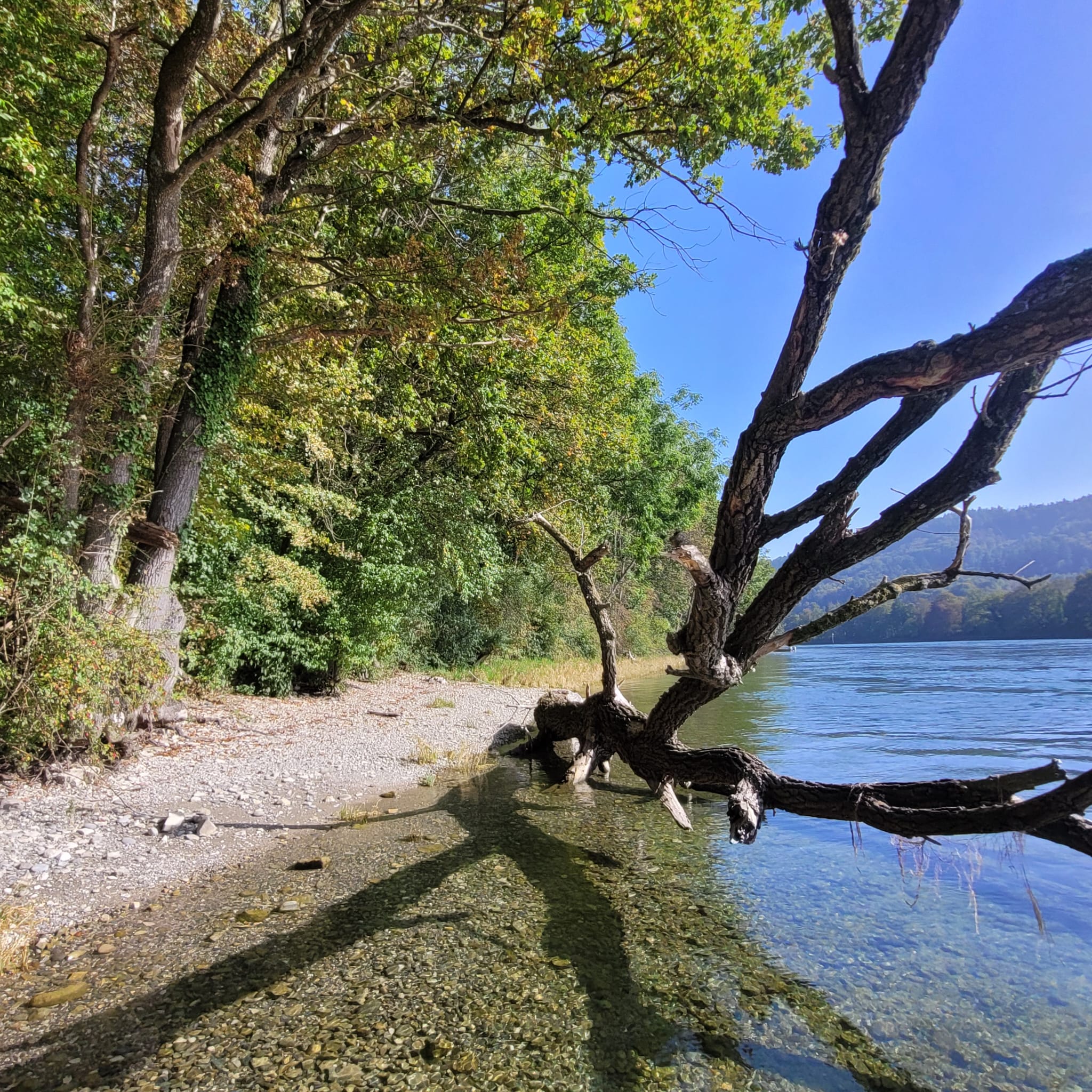 Obergailingen Ost nach Renaturierung