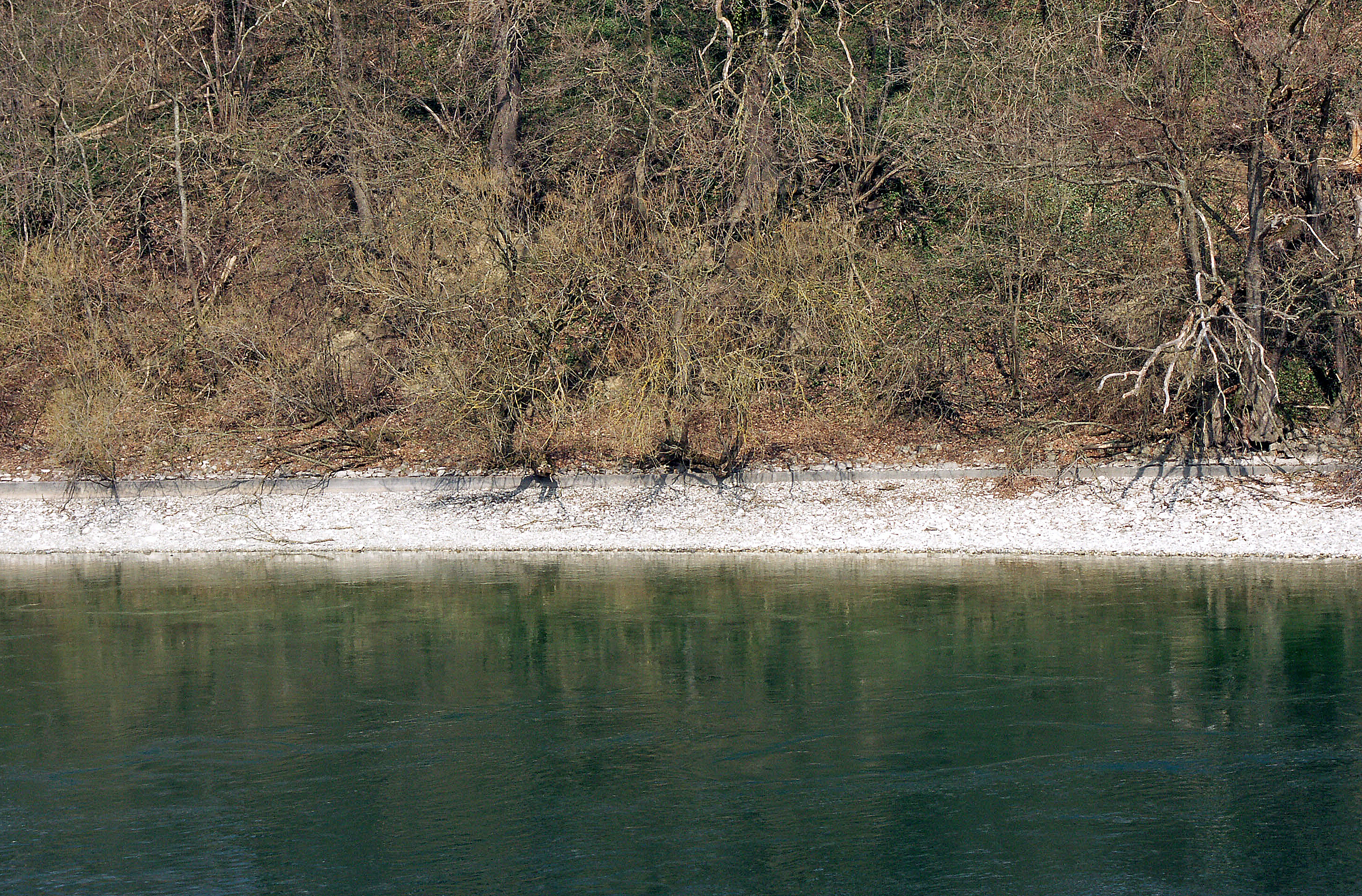 Obergailingen Ost vor Renaturierung
