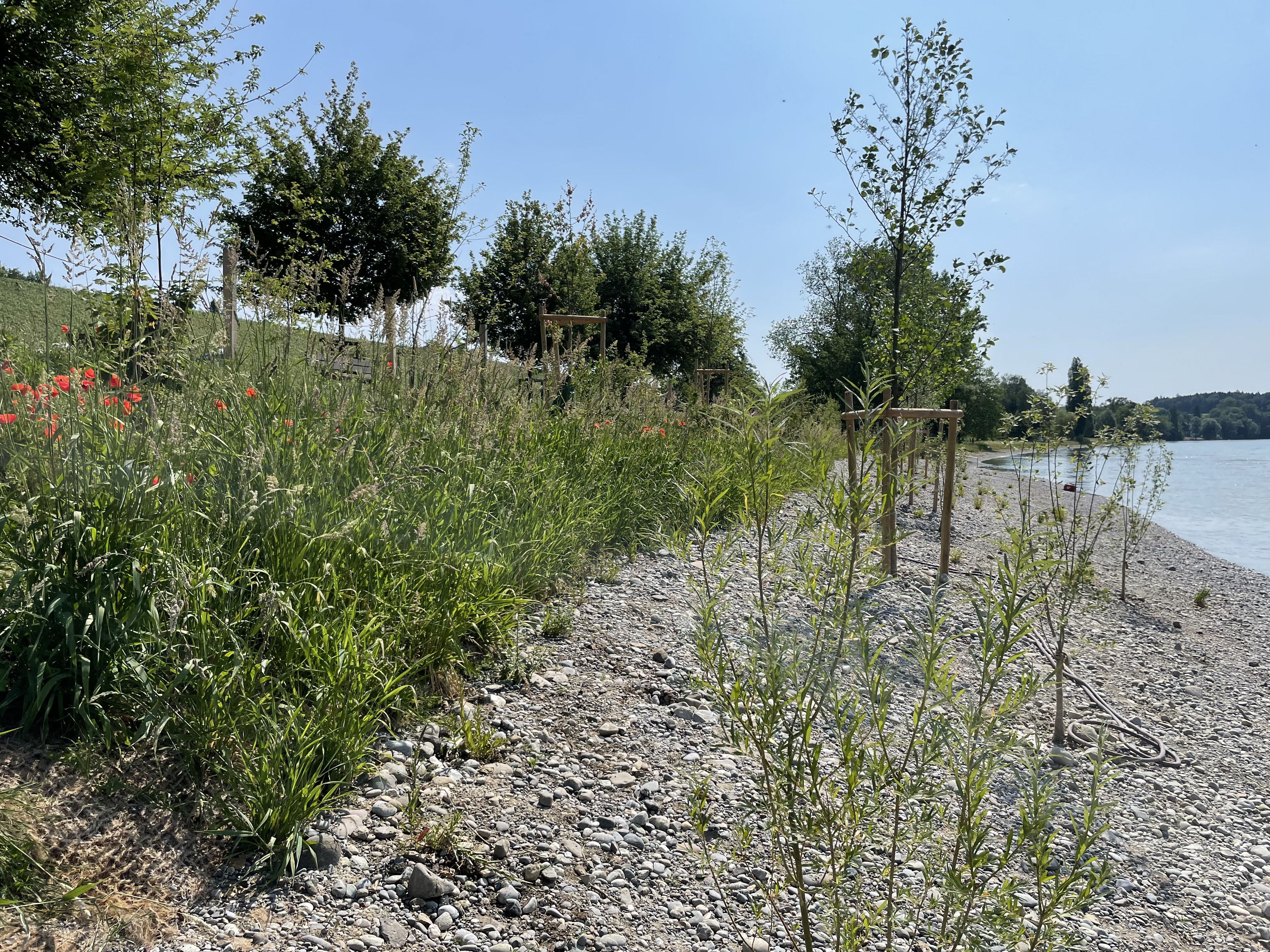 Badi Gailingen West