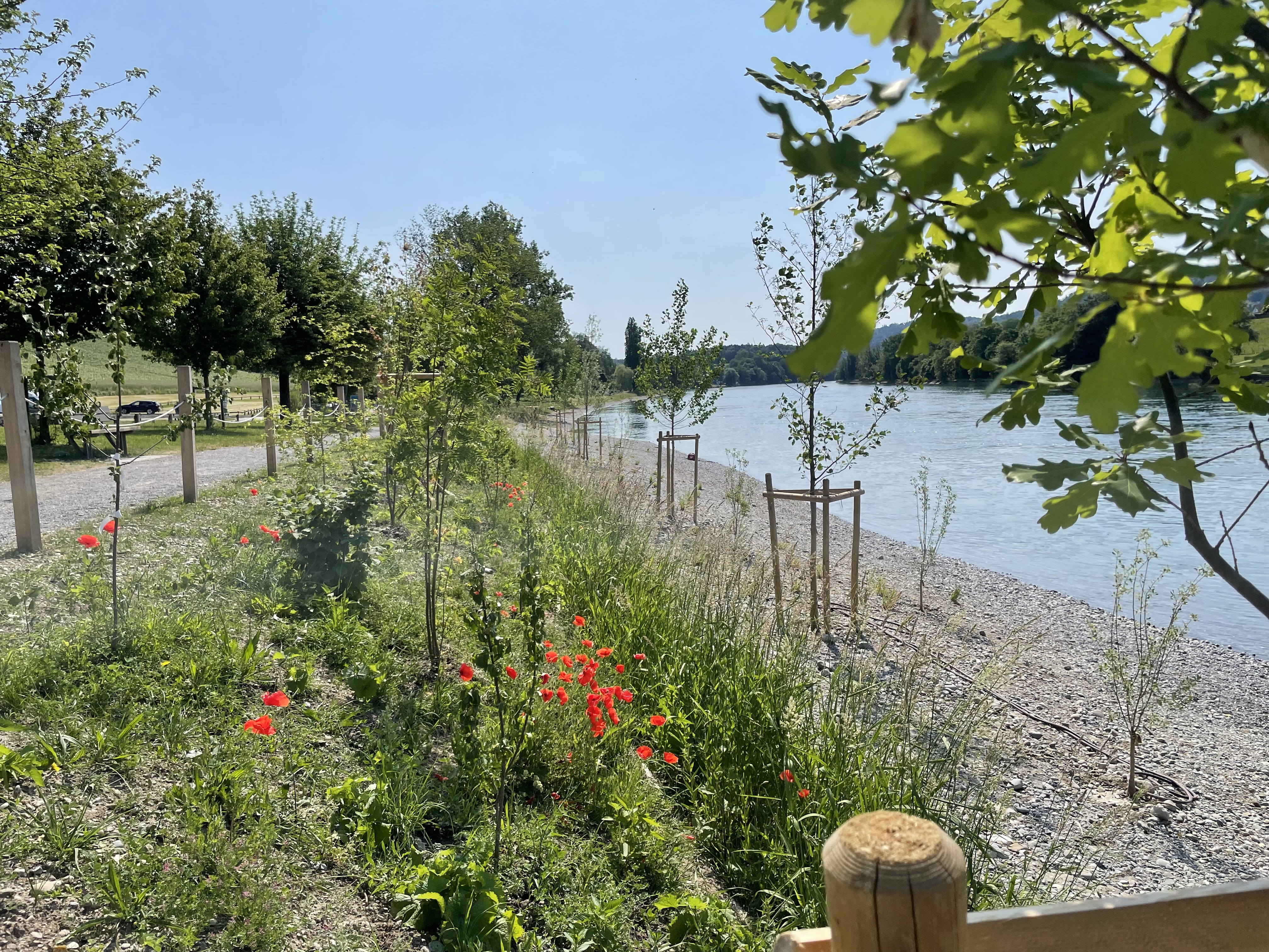 Badi Gailingen West