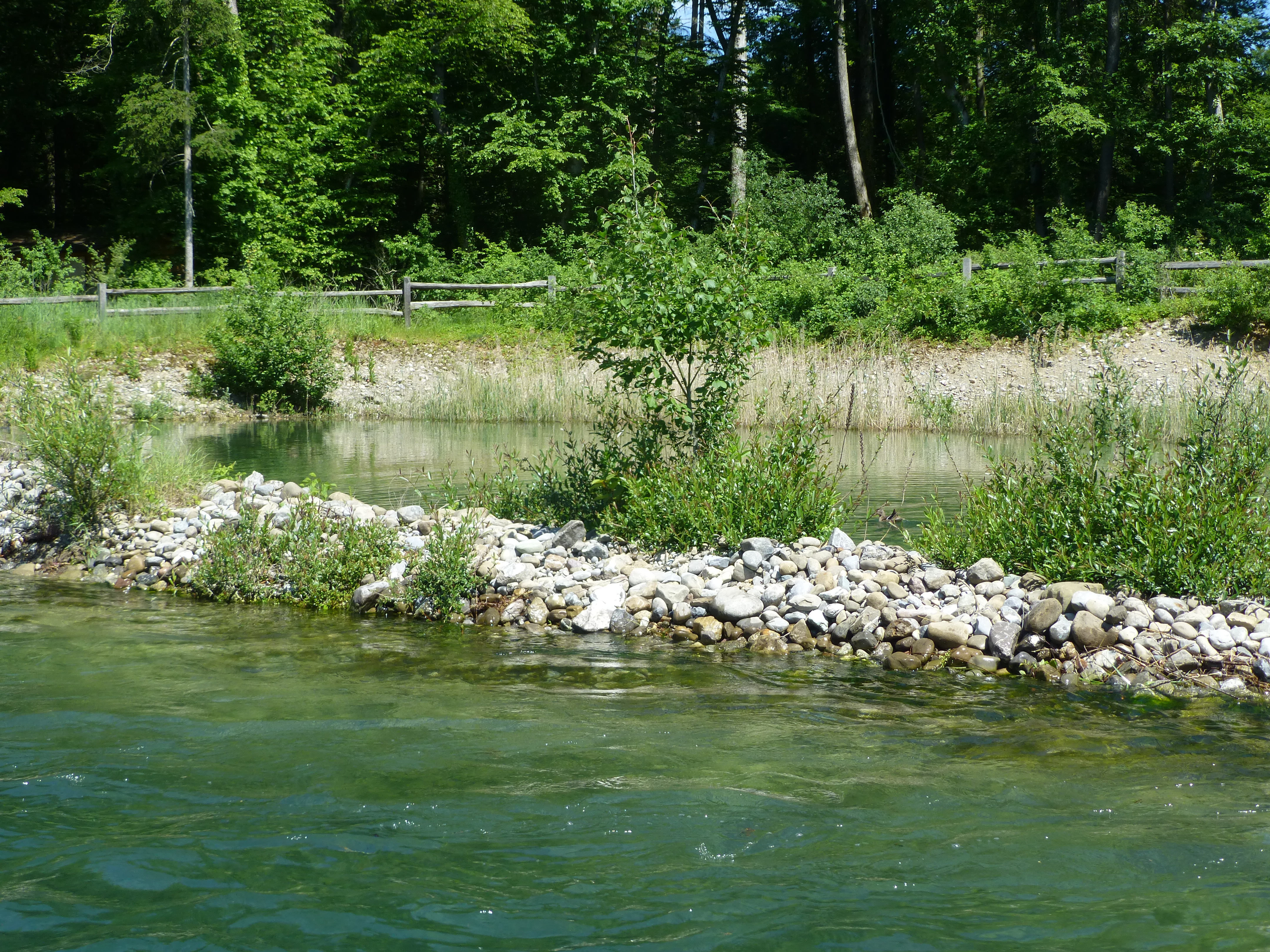 Rheinhölze West und Mitte